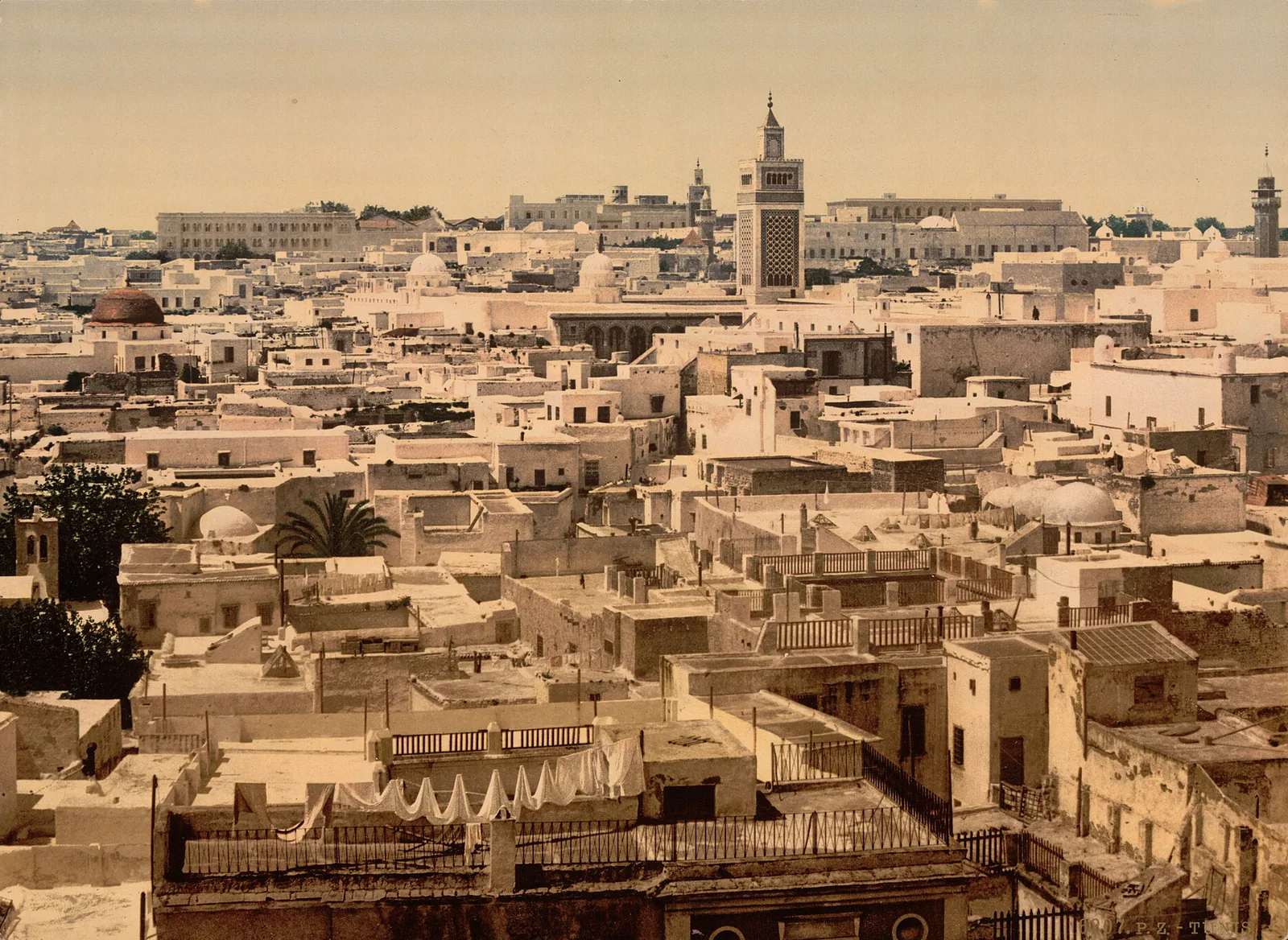 Depuis l’Hôtel de Paris, Tunis, Tunisie, vers 1899