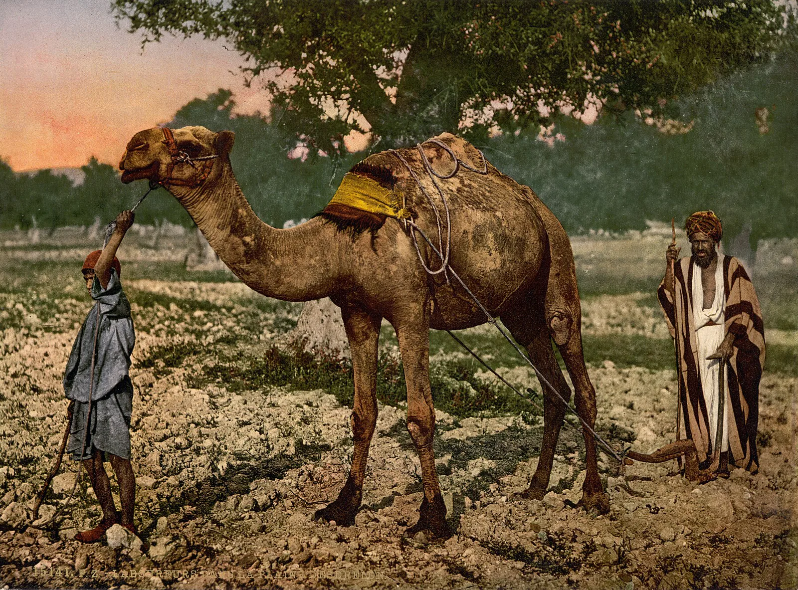 Les Laboureurs de la plaine, Plaine d’Esdrelon, Palestine ottomane, 1890–1900