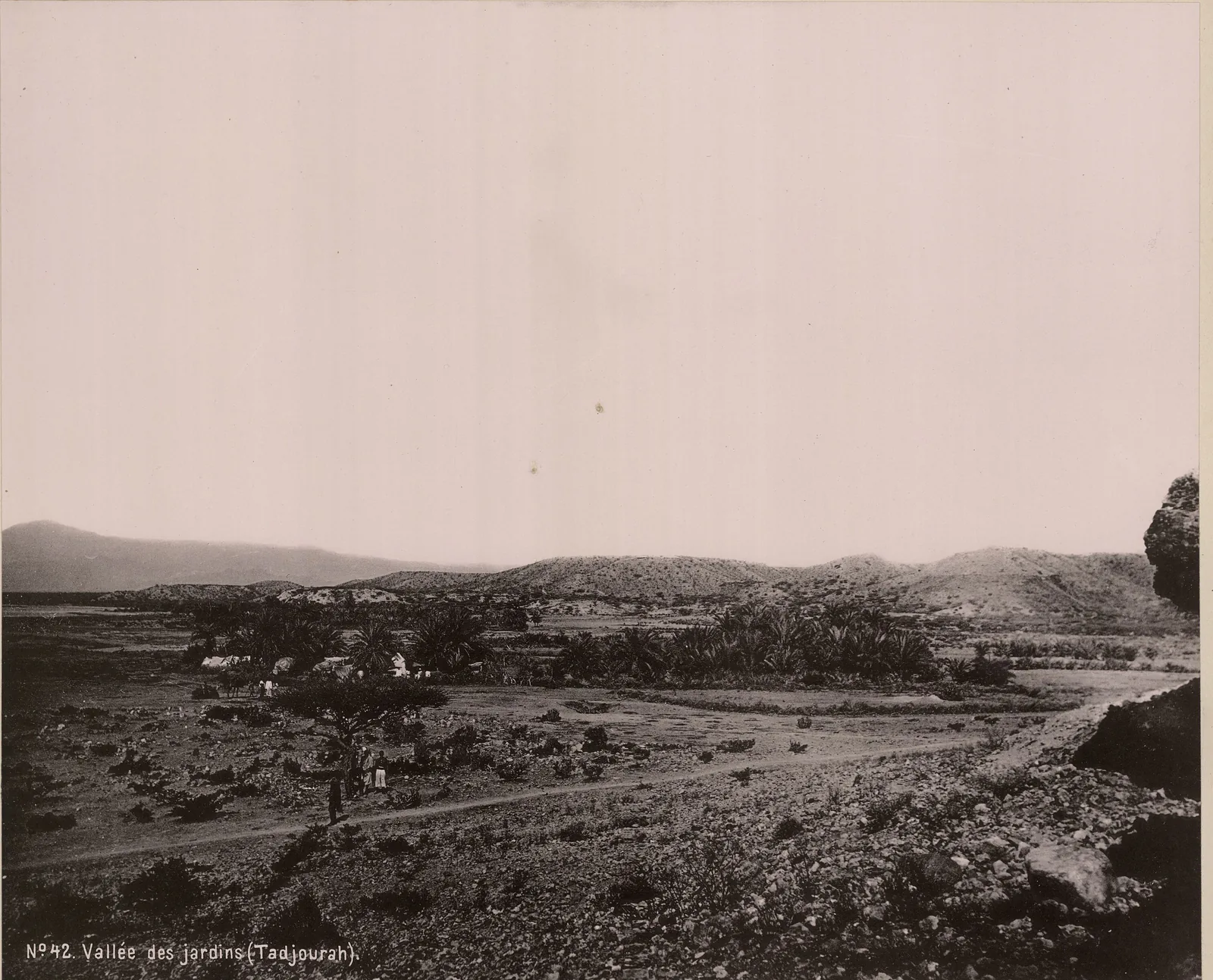 La Vallée des jardins, Tadjourah, Djibouti, 1893