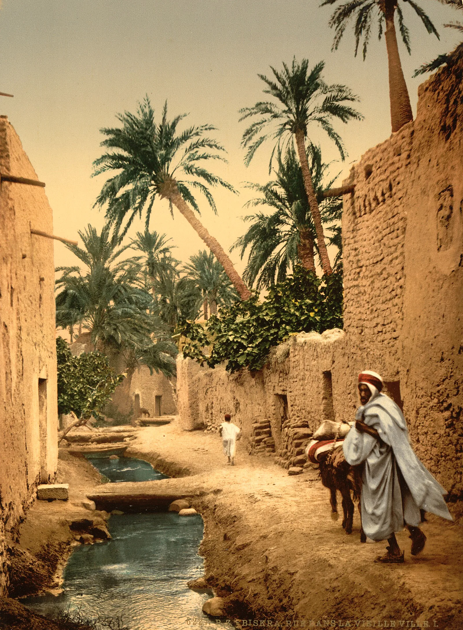 Une Rue du vieux Biskra, Biskra, Algérie, vers 1899