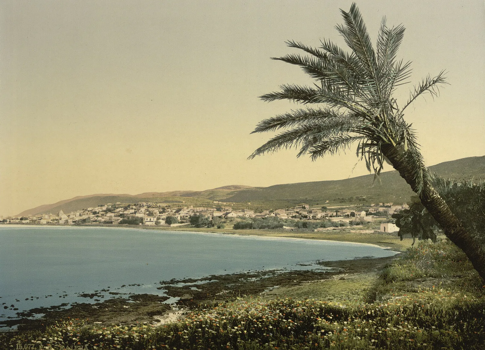 Le Pied du Carmel, Haïfa, Palestine ottomane, 1890–1900