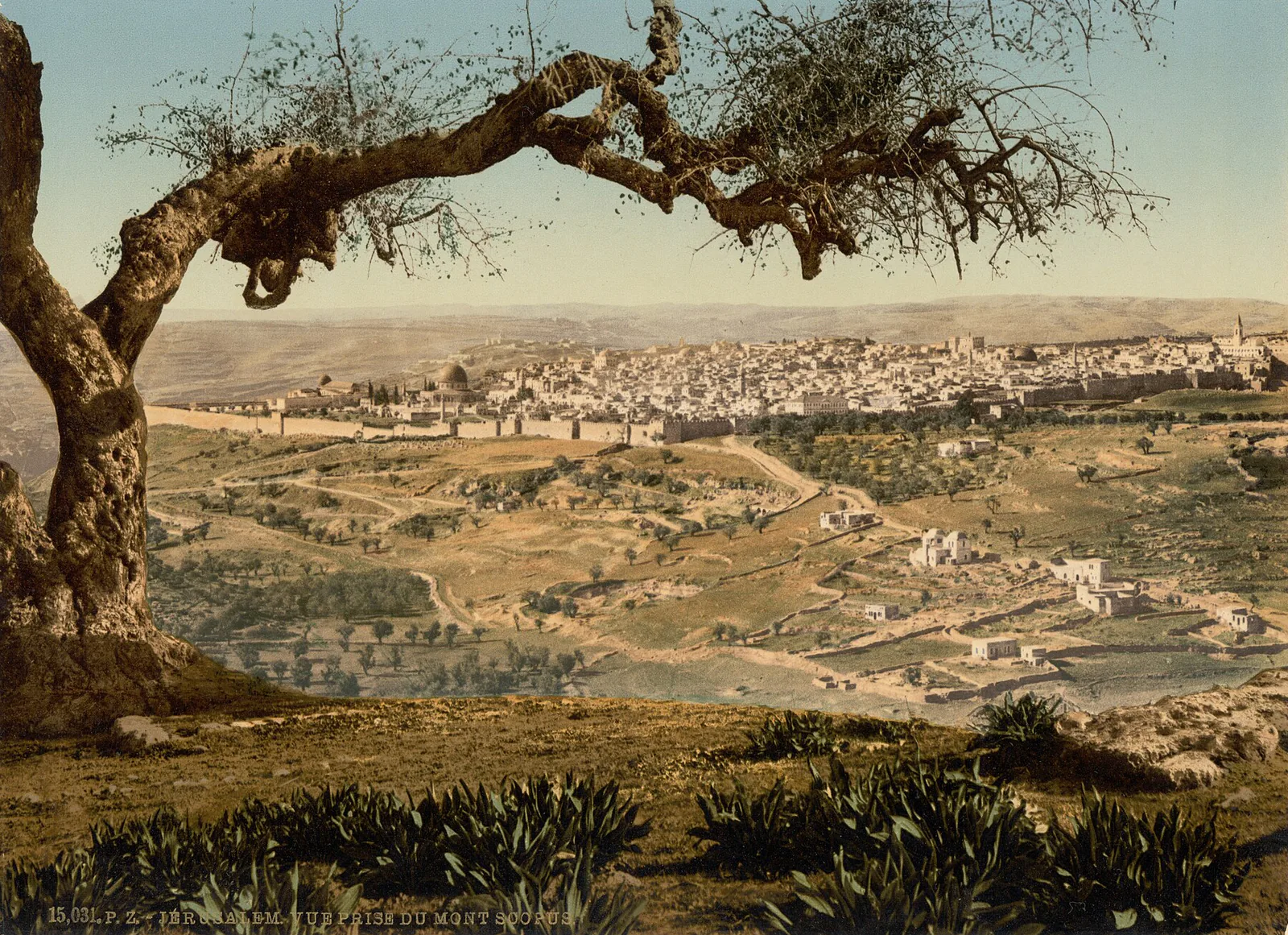 Du mont Scopus, Jérusalem, Palestine ottomane, 1890–1900