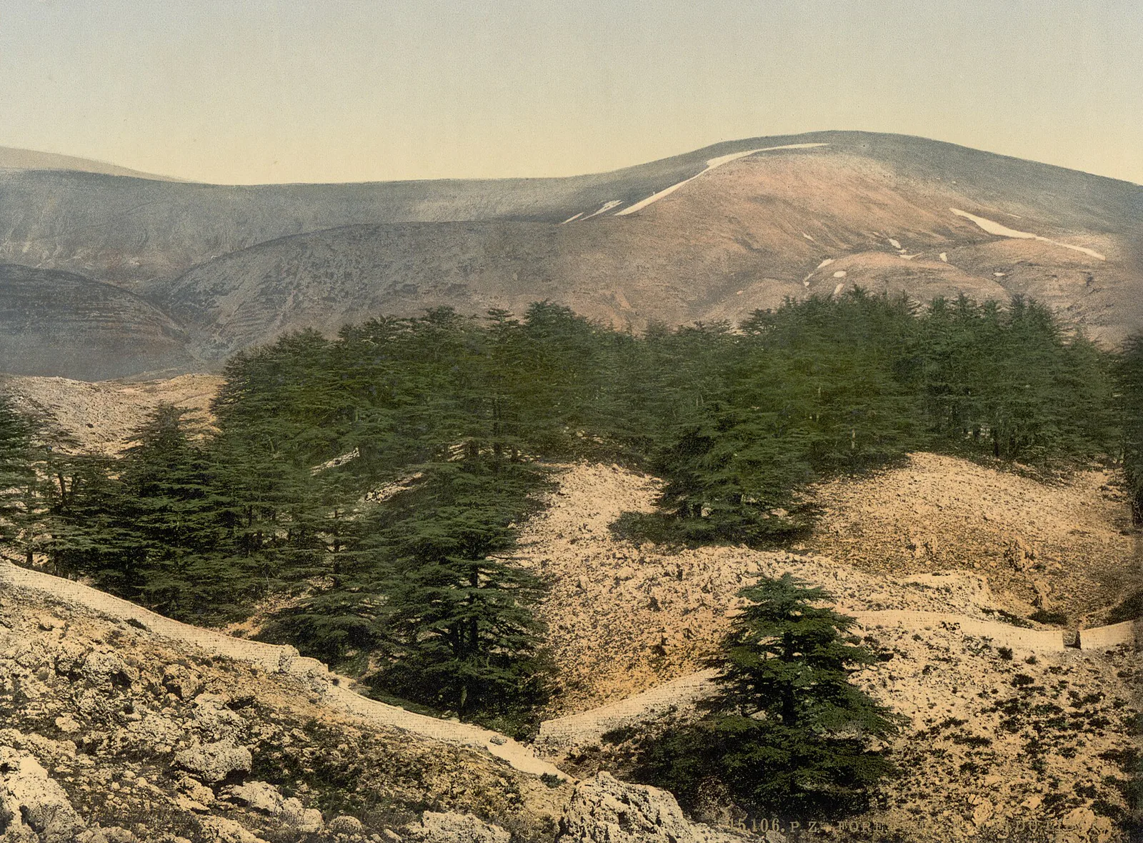 Les Cèdres, Mont-Liban, Liban ottoman, 1890–1900