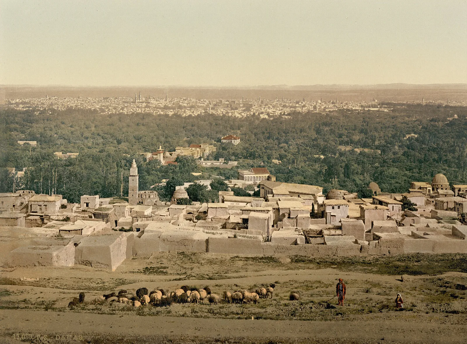 De Salahiyé, Damas, Syrie ottomane, 1890–1900